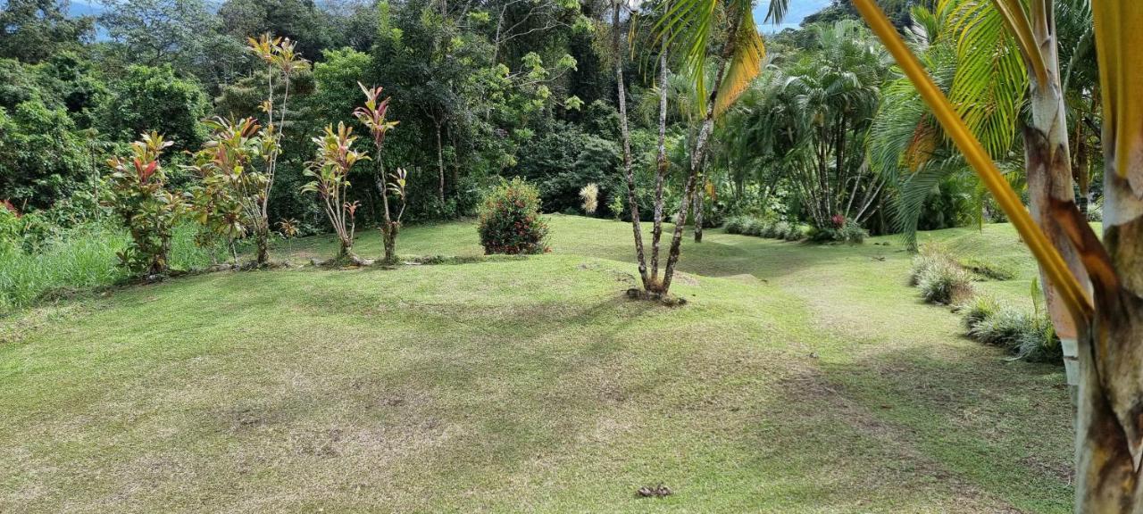 Hotel La Rana De Arenal Nuevo Arenal Exterior photo