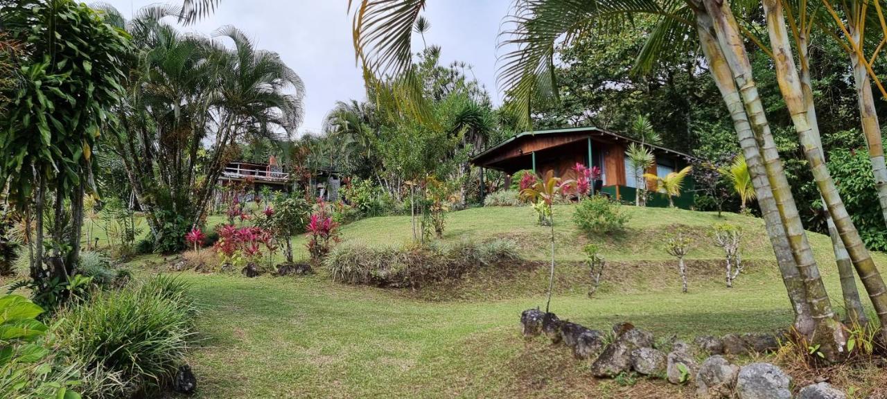Hotel La Rana De Arenal Nuevo Arenal Exterior photo