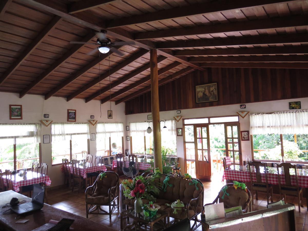 Hotel La Rana De Arenal Nuevo Arenal Exterior photo