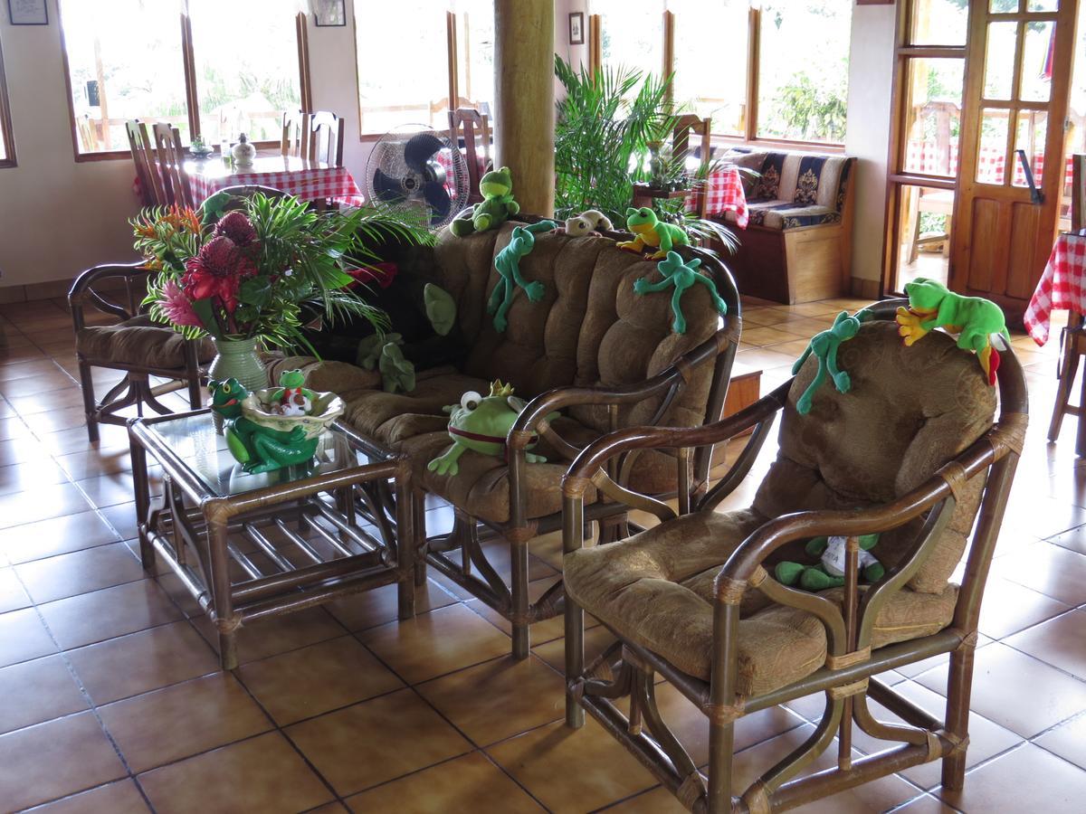 Hotel La Rana De Arenal Nuevo Arenal Exterior photo